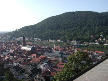 A view from the Heidelberg Castle