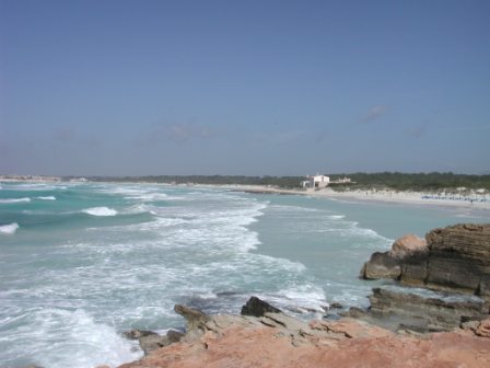 Beach near Sa Rapita