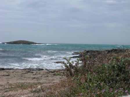 Beach near Port de Palma