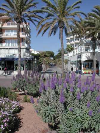 Playa de Palma