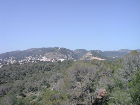 View from the Castell de Bellver